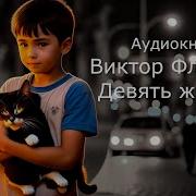 9 Жизней Аудиокнига Дашкевич