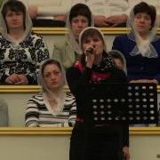 Капли Дождя Крылья Ветра В Степи