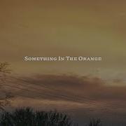 Orange Stick Everything I Wanted