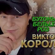 Королев Бутоны Белых Роз