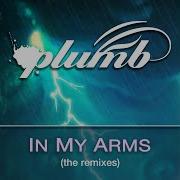 Plumb In My Arms Remix