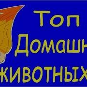 Развиваем Фонематический Слух Угадай Голоса Животных