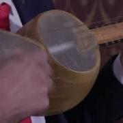 Qashqadaryo Bulbuli Umidjon Muhammadiyev
