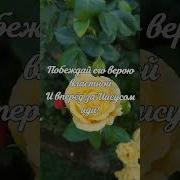 Наталья Забровская Стихи