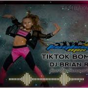 Dragistea Din Tei By O Zone Dj Brian Remix