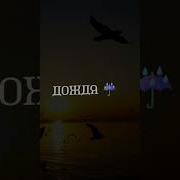 Я Бегу К Тебе По Центру Города