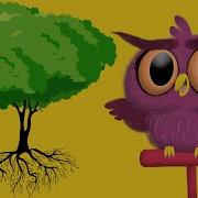 Do Trees