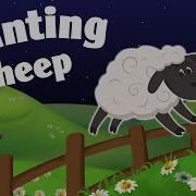 Counting Sheep