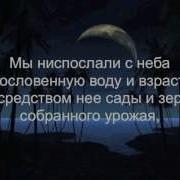 Абдуазиз Захрани Сура 50