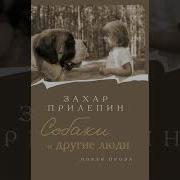 Прилепин Собаки И Другие Люди