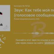 Как Тебе Моя Попа