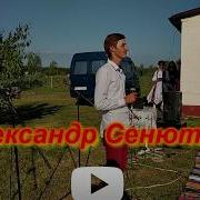 Мамина Сирень Поет Александт Р Сенюта
