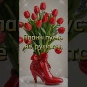 Поздравления С Др Женщине