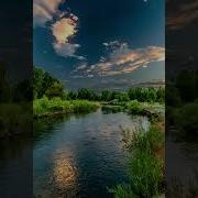 Вания Маркович Медитация