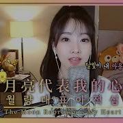 한국인들도 좋아하는 중국노래 월량대표아적심 月亮代表我的心