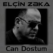 Elcin Zeka Dostum