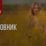 Митя Фомин Сборник