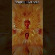 Под Покровом Богородицы