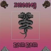 Pam Pam Xenology