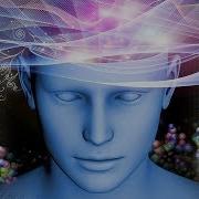 Alpha Brain Waves Relaxing Music To Study