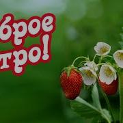 Я Подарю Кусочек Лета