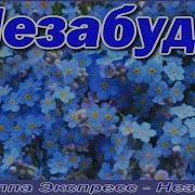 Незабудки Группа Экспресс