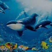 Грищук Сергей Восточная Музыка Для Души 2