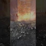 Ну Очень Маленький Взрыв