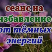 Очищающий Сеанс От Темной Энергии Игорь Попович