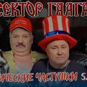 Сектор Гаага Жесть Доброй Воли