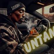 2Pac Untamed