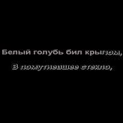 Песня Стрекозы Минус