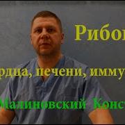 Волшебная Таблетка