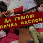 Koma Hp Толиби Самад Дигар Ба Умед Набош Music Version