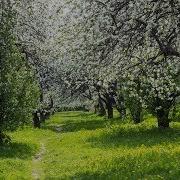 Весной Есть Чудесная Пора