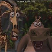 Madagascar Screaming