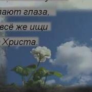 Ветер Дождь И Туман Христианское Караоке