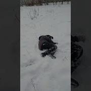 Батя У Тебя Все Нормально
