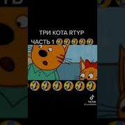 Три Кота С Матом Мемы