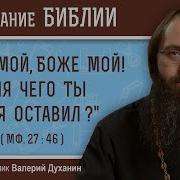 Толкование На Евангелие От Матфея Священник Валерий Духанов