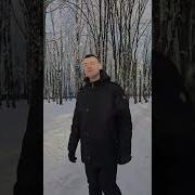 Белые Розы На Украинском Языке