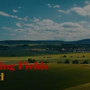 Bleeding Fields Muted Instrumental