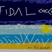 The Amazing Tidal Wave