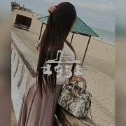 Ласточка Горная Украду Я Тебя