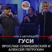 Летят Гуси Сумишевский