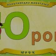Мультипедия Животных Буква Ю Юрок