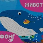 Песня Синий Кит Скачать