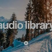 Primary Sound Library Cold