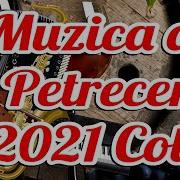 Muzica De Petrecere 2021