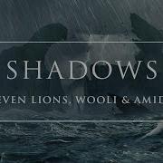 Wooli Shadows Remember